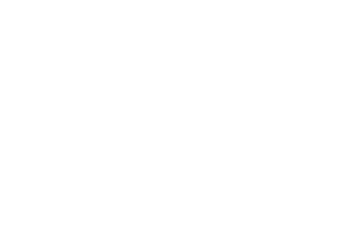Panaz logo white